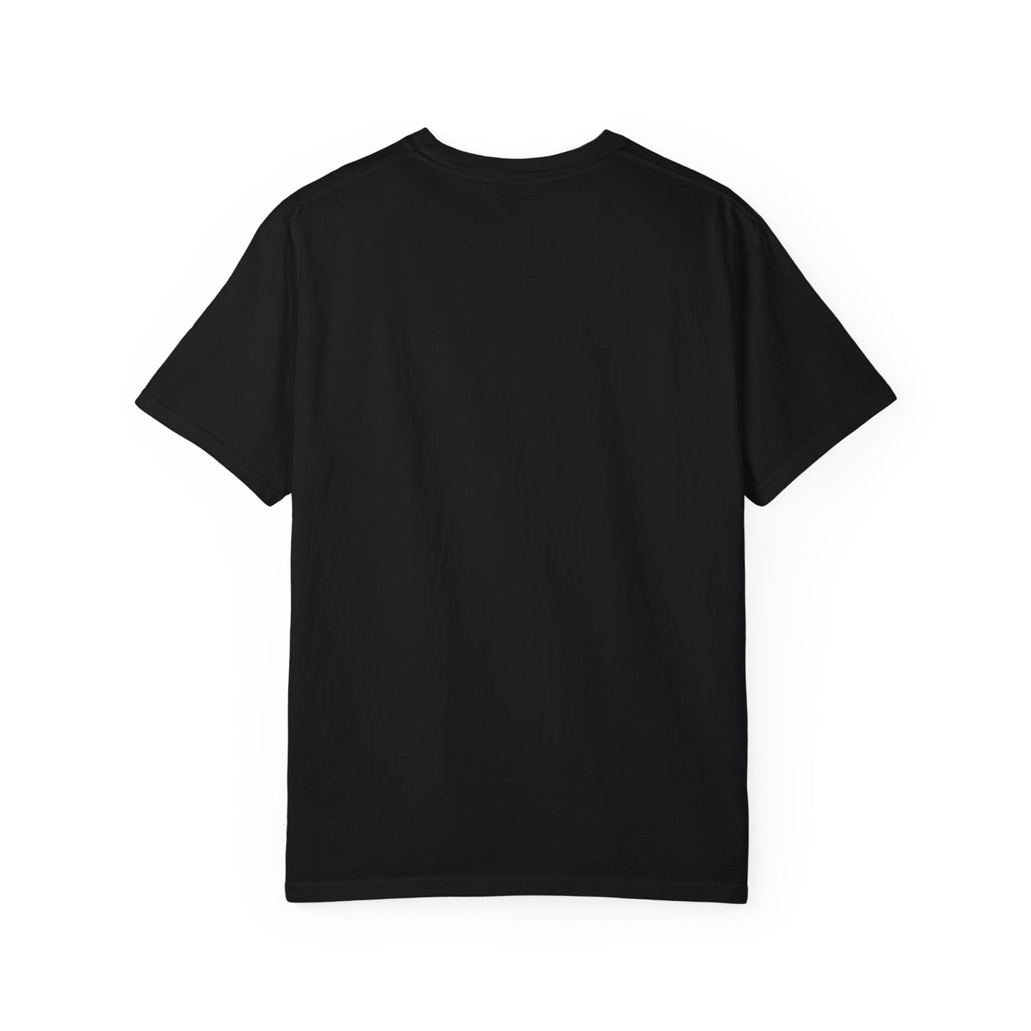 Darwin Stress Free Zone Tee - Comfort Colors 1717