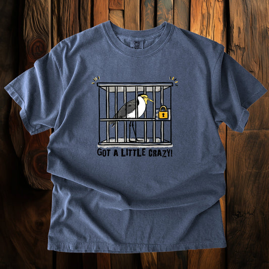 Blue t-shirt with a graphic of a bird in a cage and text 'GOT A LITTLE CRAZY!' on a wooden background.