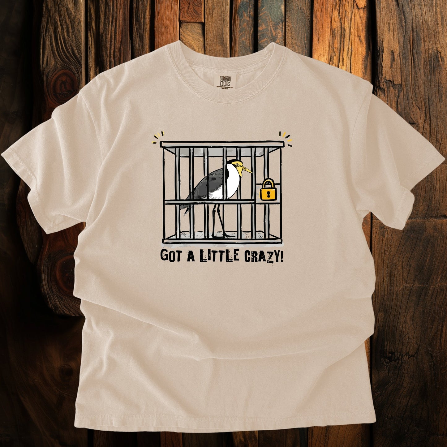 Plover Time Graphic Tshirt in ivory color with the text - got a little crazy